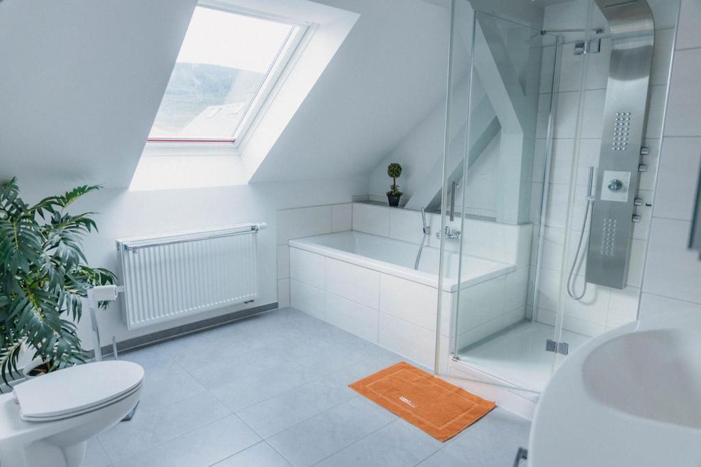Einfach Schoen Apartment Oberwiesenthal